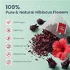 Hibiscus Tea Bags 60 Count with 2 Blooming Teas, Premium Hibiscus Flower Tea, Caffeine Free Herbal Tea, Tart & Refreshing Flavor, Plant-Based Pyramid Tea Bags for Hot or Iced Tea, 60 Tea Bags (2g Each) view 2