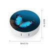 FekiLoot Beautiful Blue Butterfly Contact Lens Cases, Cute Contact Lenses Lens Box Set Outdoor Mini Contact Lens Soak Storage Kit with Mirror Daily Vision Care And Outdoor Use view 2