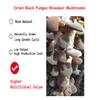 Dried Black Fungus Woodear Mushrooms, Premium Natural Vegan Gluten-Free, Crispy & Chewy, for Soup Stir-Fry Salad, 9 oz(256g) view 2