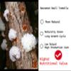 4.2oz(120g) White Snow Fungus Mushroom Tremella Dried Snow Fungus Whole Tremella Mushroom White Woodear Mushroom for Cooking All Natura view 3