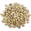 CLEAR CREEK Certified Glyphosate Residue Free Pinto Beans | 8 lbs (2-4 lb bags) | Non-GMO | Kosher view 2