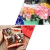 Baluue Cellophane Wrap Paper 54cm Roll Packing Film for Flower Craft Wrapping and Basket Decoration view 3