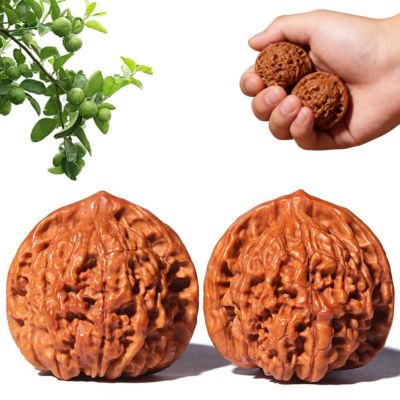 Chinese Walnuts Fidget, Wenwan Walnuts, Hand Training Massage Stress Relief, Walnut and Massage Stress Relief Health Care Ball Toys (2Pcs)