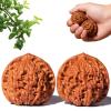 Chinese Walnuts Fidget, Wenwan Walnuts, Hand Training Massage Stress Relief, Walnut and Massage Stress Relief Health Care Ball Toys (2Pcs) view 1