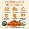 Himalayaan Sea Buckthorn Berry 100g | Sun-Dried, Natural & Unsweetened view 2