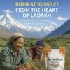 Himalayaan Sea Buckthorn Berry 100g | Sun-Dried, Natural & Unsweetened view 4