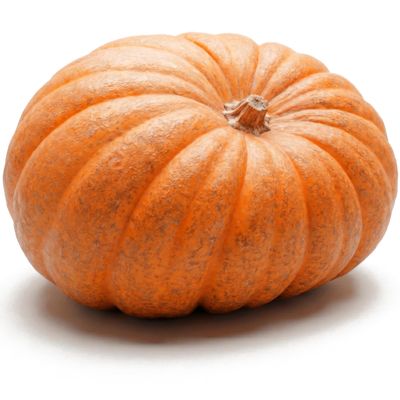 20 Pumpkin Seeds for Planting - Big Max - Heirloom | Non-GMO | USA Grown | Grows Big Giant Pumpkins up to 100 lbs! Grown for Pies and Halloween Jack O Lanterns