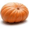 20 Pumpkin Seeds for Planting - Big Max - Heirloom | Non-GMO | USA Grown | Grows Big Giant Pumpkins up to 100 lbs! Grown for Pies and Halloween Jack O Lanterns view 1