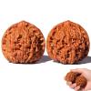 2PCS 2026 New Wenwan Walnuts, Chinese Walnuts Fidget, Grip Ball Palm Massage Chinese Walnut, Elderly Gift Massage Gadget view 1