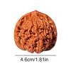 2PCS 2026 New Wenwan Walnuts, Chinese Walnuts Fidget, Grip Ball Palm Massage Chinese Walnut, Elderly Gift Massage Gadget view 2
