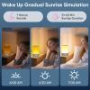 AFEXOA Sunrise Alarm Clock with Wake Up Light, White Noise Machine with 30 Soothing Sounds, Dimmable Display, Night Light for Bedroom, Heavy Sleepers, Adults & Kids view 3