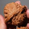 4PCS 2026 New Wenwan Walnuts, Chinese Walnuts Fidget, Grip Ball Palm Massage Chinese Walnut, Elderly Gift Massage Gadget view 4