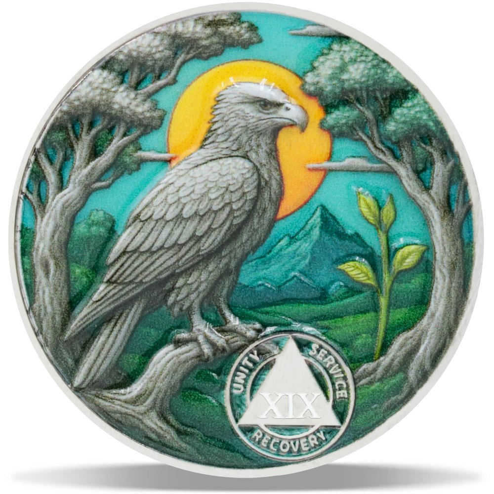 19 Year Soaring Renewal Sobriety Coin Journey into Serenity NA Medallion Spiritual Token for Recovery & Clean Time Empowering NA AA Chips Gift for Men & Women