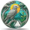 20 Year Soaring Renewal Sobriety Coin Journey into Serenity NA Medallion Spiritual Token for Recovery & Clean Time Empowering NA AA Chips Gift for Men & Women view 1