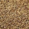 1LB BISCUIT MALT Black Swaen Belgian Malted Barley Grain for Home Brewing - Uncrushed view 2