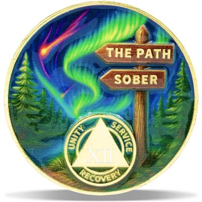 12 Year True North Sobriety Coin Journey into Serenity NA Medallion Spiritual Token for Recovery & Clean Time Empowering NA AA Chips Gift for Men & Women