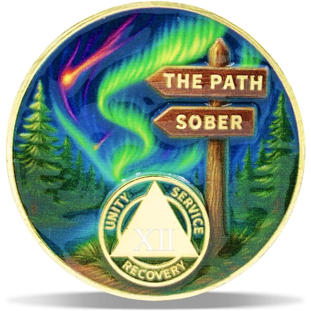 12 Year True North Sobriety Coin Journey into Serenity NA Medallion Spiritual Token for Recovery & Clean Time Empowering NA AA Chips Gift for Men & Women