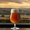 Tapcraft - Belgian Saison Beer Recipe Ingredients Kit - Brew Your Own Beer at Home view 3