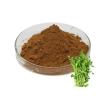 Bright sunlight Pea Seedlings Extract 20:1 Powder 7 Ounce view 2