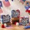 Tioncy 24 Pcs 250 Anniversary USA Party Supplies America Clear Gift Bags with Handle Plastic Goodie Treat Candy Tote Bags 4th of July Themed Wrapping Supplies for Travel Shopping, 8 x 8 x 3.15'' view 2