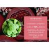 Premium Dried Green Apricots, Tangy and Chewy Dried Fruit Snack, Pitless and Resealable Pouch, 100g view 2
