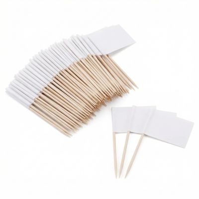 100 Pack Blank Toothpick Flags, White Writable Food Label Picks for Charcuterie Boards, Cheese Markers, Buffet Labels, Cocktail Appetizer Picks, Mini Party Food Tags (1.38" x 0.98")