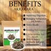 FO Anacyclus Pyrethrum - 100 gram | 3.52 oz - Akarkara Roots - Akarkara Asli view 3