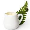 After Care: Moss & Sweet Fern Velvet Massage Candle Warm Body Oil Candle with Natural Butters Sensory Self-Care & Skin Moisturizing 2.6 Oz White Carafe with Handle Second Life view 1