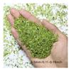 100g Peridot Olivine Chip Stone Rock Tumbled, Green Quartz Crystal Gravel for DIY Accessries Crafts Garden Decor view 3