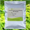 Bright sunlight Fructus Corni Cornus Extract 20:1 Powder 250g (8.8 oz) Officinalis Cornelian Cherry view 1