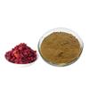 Bright sunlight Fructus Corni Cornus Extract 20:1 Powder 250g (8.8 oz) Officinalis Cornelian Cherry view 2