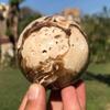 1PC 6-7cm Beautiful Chocolate Calcite Ball Brown Texture Blend view 2