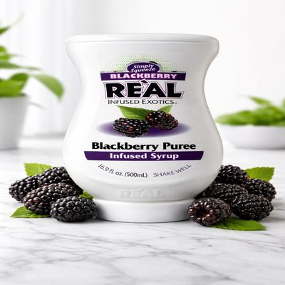 Blackberry Puree Infused Syrup, 16.9 FL OZ Squeezable Bottle (Pack of 1)