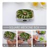 Beetle Monstera Leaf Pill Box 2 Compartment Small Pill Case,Portable for Pocket Or Purse Pills Organizer Mini Pills Container Holder to Hold Vitamins, Medication, Fish Oil and Supplements view 4