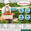 Claros Farm Organic Whole Freeze-Dried Strawberries (10 x 30g Pack) Healthy Freeze Dried Food Gluten-Free, Vegan, Organic Fruit Snacks for Office, School, or Home view 4