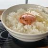 Truffle-Infused Shiro Shoyu - 5 fl oz - White Soy Sauce - Versatile Umami Condiment - Product of Japan view 4
