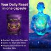 Haritaki Capsules Terminalia Chebula Haritaki Supplement for Gut Wellness, Supports Natural Energy and Daily Focus, Vegan & Gluten-Free, 120 Capsules view 3