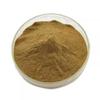 Bright sunlight Maral Root Extract 50:1 Powder 7 Ounce/200g view 2
