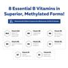 BioActive Vitamin B Complex - Blood Stream Ready, Methylated B Complex - Featuring Methylfolate, 3 BioActive Forms of B12, BenfoPure B1 & Pantesin B5 - 12 B Vitamins in Clinical Doses - Liquid 8 oz view 3