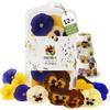 Freshly Preserved Small Pansy Freeze-Dried Edible Flowers - Dried Edible Flowers for Cakes Decoration, Drink Garnish, Cocktails, Resin Art & DIY Crafts - USA-Grown Whole Bloom - Set of 12 - 0.1 Oz view 1