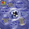 Freshly Preserved Small Pansy Freeze-Dried Edible Flowers - Dried Edible Flowers for Cakes Decoration, Drink Garnish, Cocktails, Resin Art & DIY Crafts - USA-Grown Whole Bloom - Set of 12 - 0.1 Oz view 4
