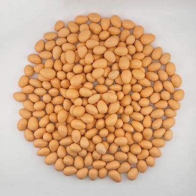 Smarty Stop Jordan Almonds Candy Pastel Candy-Coated Almonds, Edible Confectionery Snack (Light Orange, 1 Pound (Pack of 1))