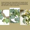 Artificial Eucalyptus Candle Rings Wreaths 3 Inch Center Mini Wreath for Pillars, Spring Small Wreath for Farmhouse Boho Easter Summer Wedding Tabletop Decor (2) view 4