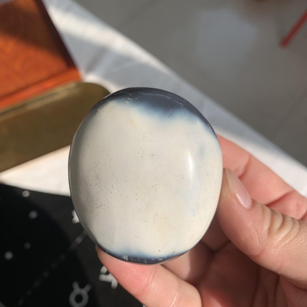 104g Orca Agate Palm Stone | Hand-Carved Killer Whale Sculpture for Strength & Family Bonds | Polished Worry Stone for Stress Relief & Ocean Energy | Unique Animal Totem & Desk Companion