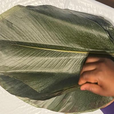 Large Organic Moi Moi Leaves Fresh and green