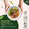 Naturawave Essentials 100% Compostable Paper Plates, Heavy Duty Disposable Plates [125-Pack] 6 Inch Plates - Eco-Friendly, Biodegradable Sugarcane Bagasse, White 6" Dinner Paper Plate -BPI Certified view 2