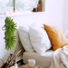 4Pcs DIY Wreath Form for Holiday Indoor Outdoor Use Cross Shaped Iron Frame Metal Wire Flower Ring Wall Mounted view 4