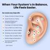 CalmPops Acupressure Ear Seeds | Ear Seeding Kit Acupuncture Ear Seeds Stickers for Immune System & Digestive Health Support + Auricular Acupuncture Chart + Tweezers (60 Units, 24K Gold Plated) view 4