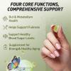 Berberine Gummies Supplement, Berberine HCl with Ceylon Cinnamon for Women & Men, Green Tea, GLP-1 Support +Turmeric, Metabolism Support, Gluten-Free - Green Grape Flavor (1 Pack 60 Count) view 4