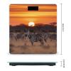 Africa Sunset Zebra Scale for Body Weight Digital Bathroom Scale Accurate Smart Weight Scales with Large Display Weighing Machine High Precision Scales view 2
